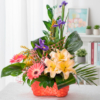 Blumenkorb farbenfroh