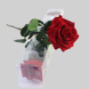 Konservierte Rose